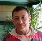 pinto t.jpg